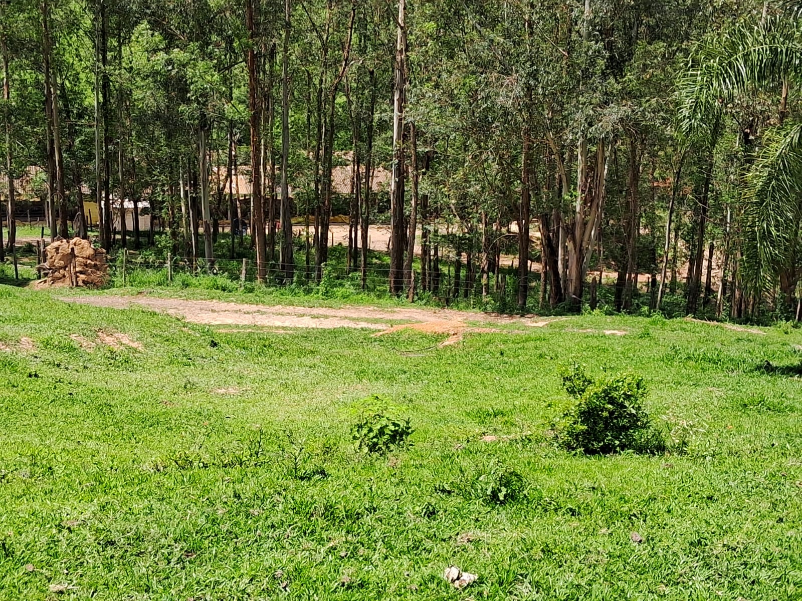 04555eb7-88c2-41d0-ab68-5f2901879f78