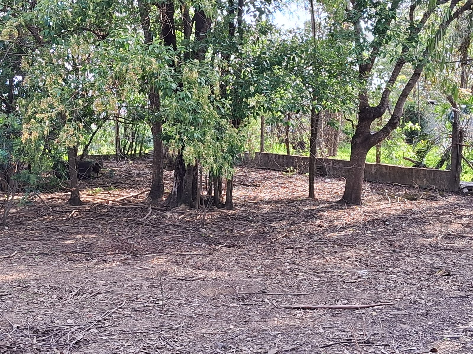 2556150e-adf5-451c-9ba5-c48f4f8fb499