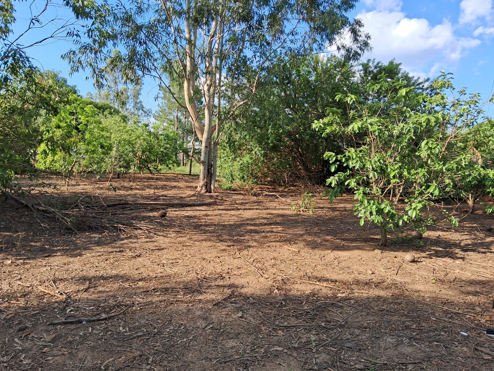 2c93334c-6c59-40d6-8de3-64890a7c7497