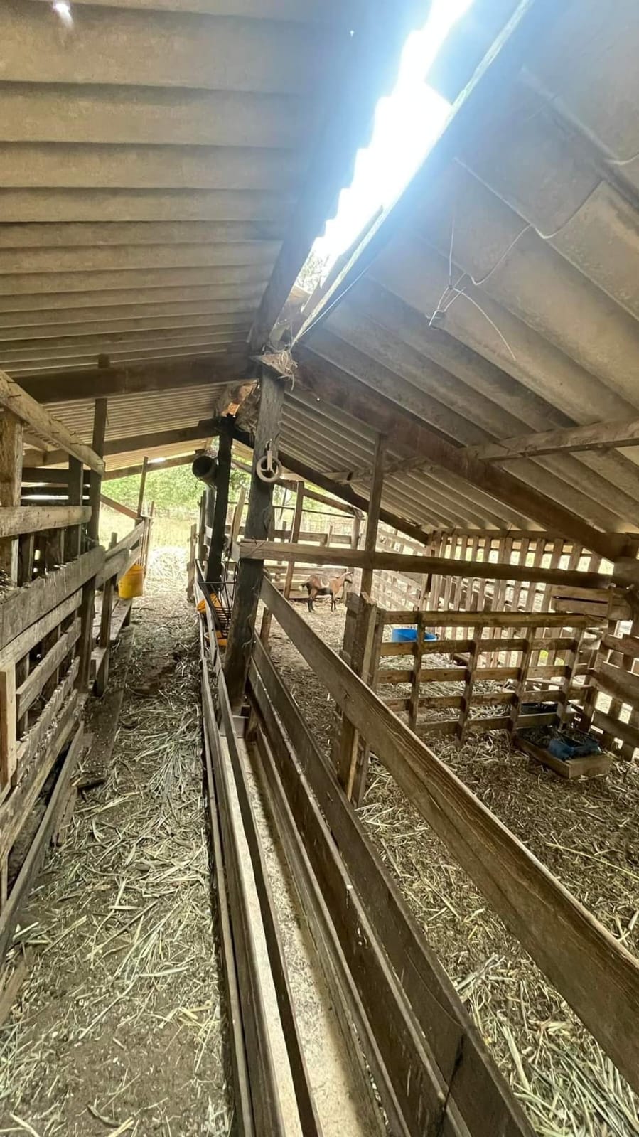 4f33df00-8d34-4f6a-abc9-7aadeae1b628