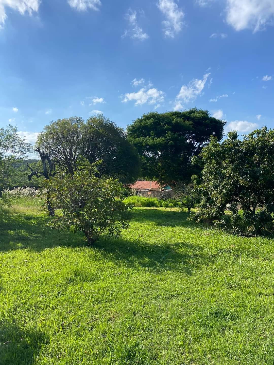 575eacfc-9606-48b6-a832-0964c497fe8e