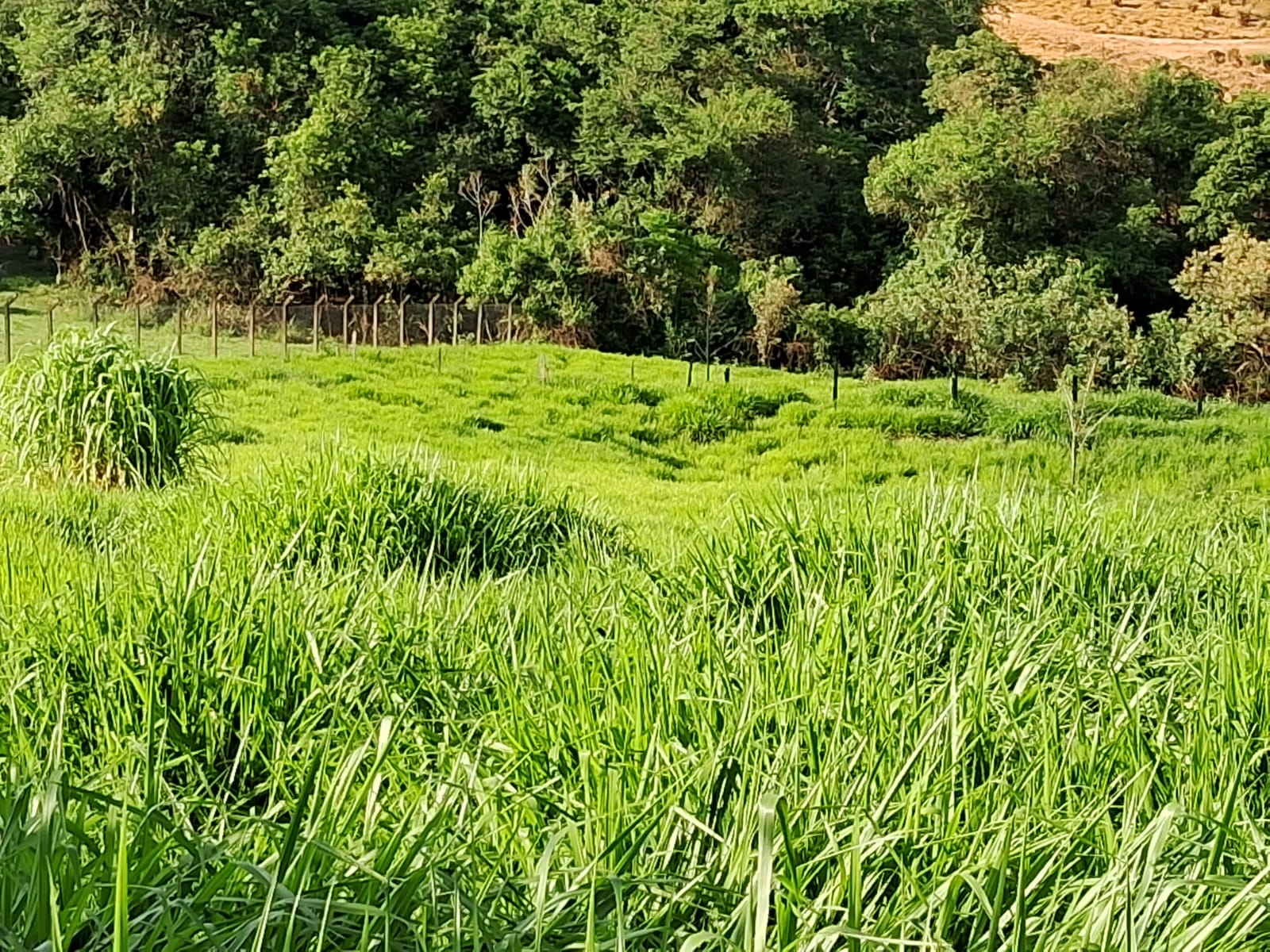 5993a3f5-bd49-46c3-aed2-e4d6a07aa58c