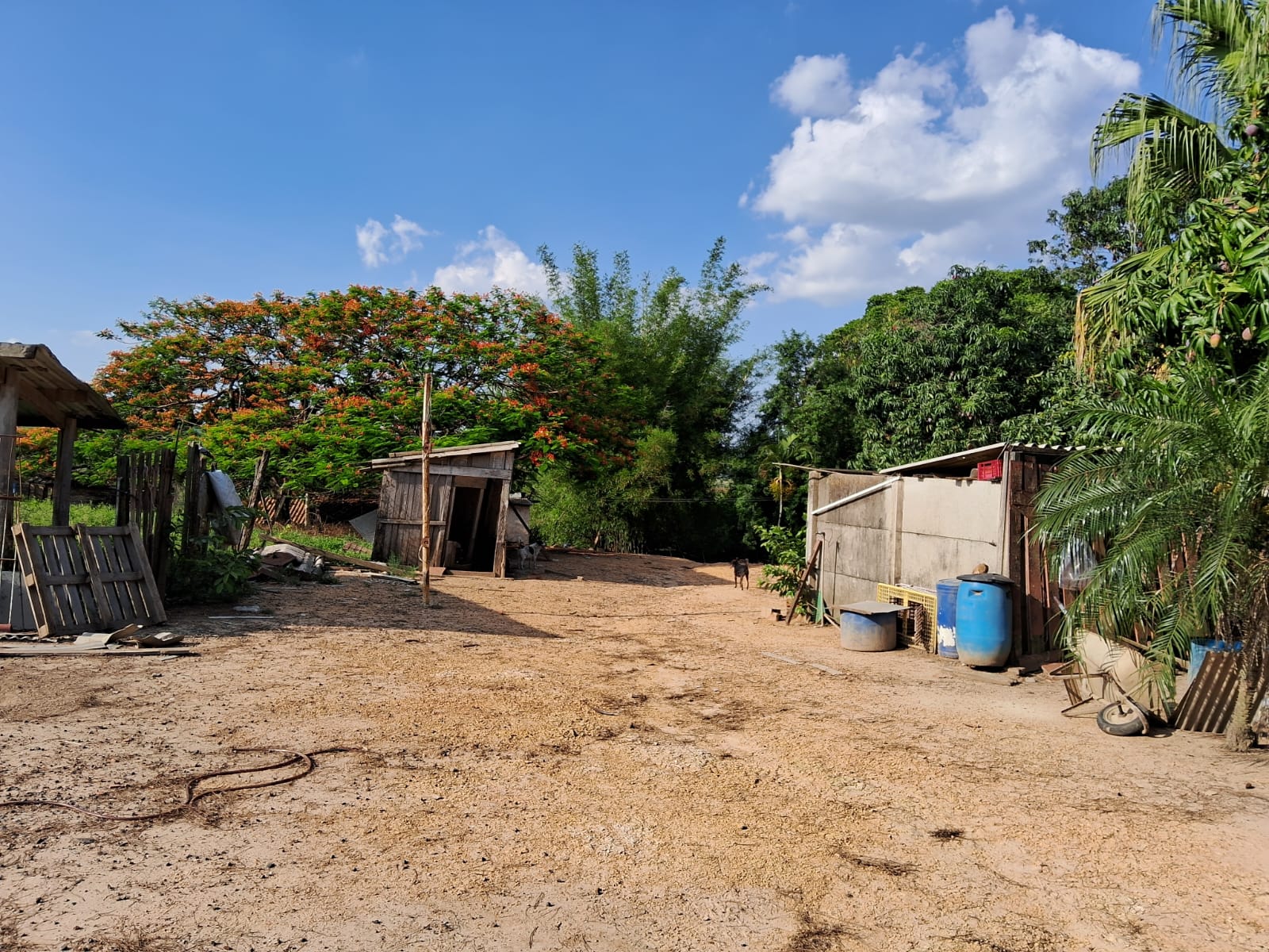 5a6d1b19-3145-409d-a645-eb59d04877b5