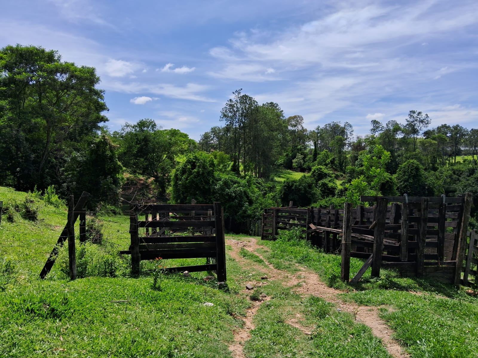 5d6a7464-fdcb-4c85-be20-d9ead95c2d14