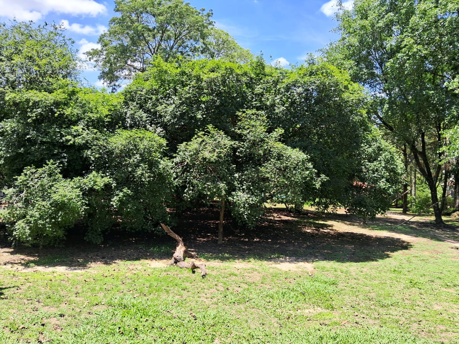 6093b7a2-34d3-4114-bac5-07f0e316062c