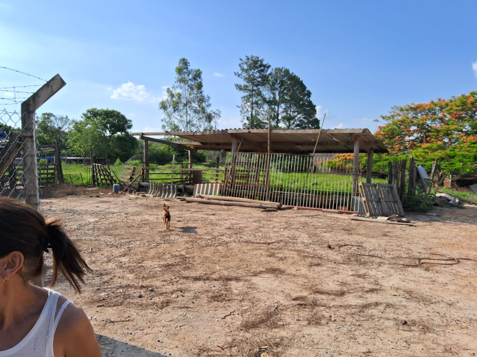 6dd5e0a4-06bc-4882-bd4a-b577b8c20b3b