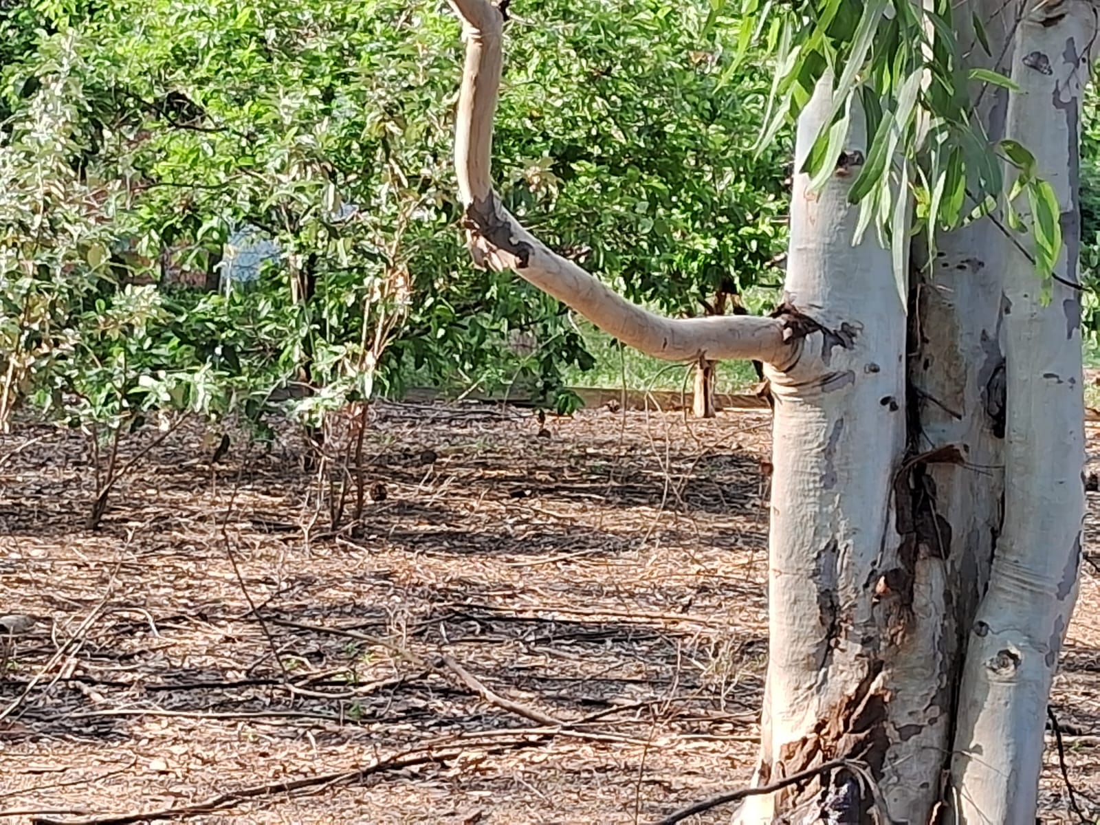 80ad0b9c-3eff-4548-9b6c-f94e16b2c478