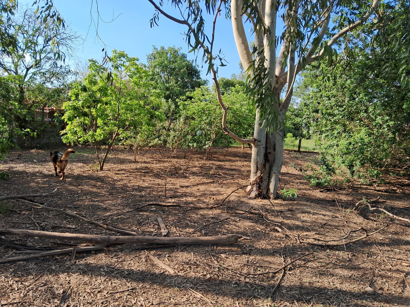 81c157fe-4423-4cde-bb29-45ea5c3e8f8d