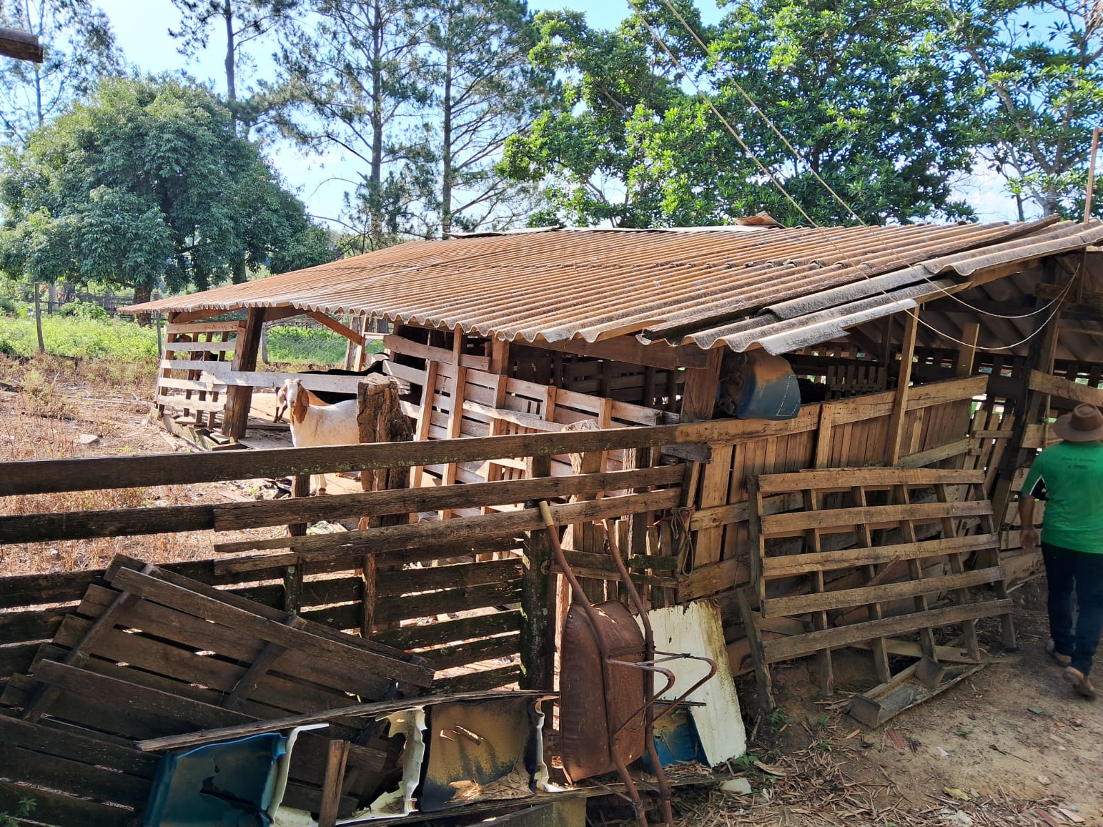 8334078c-58b4-4007-8c52-a5434a92991f