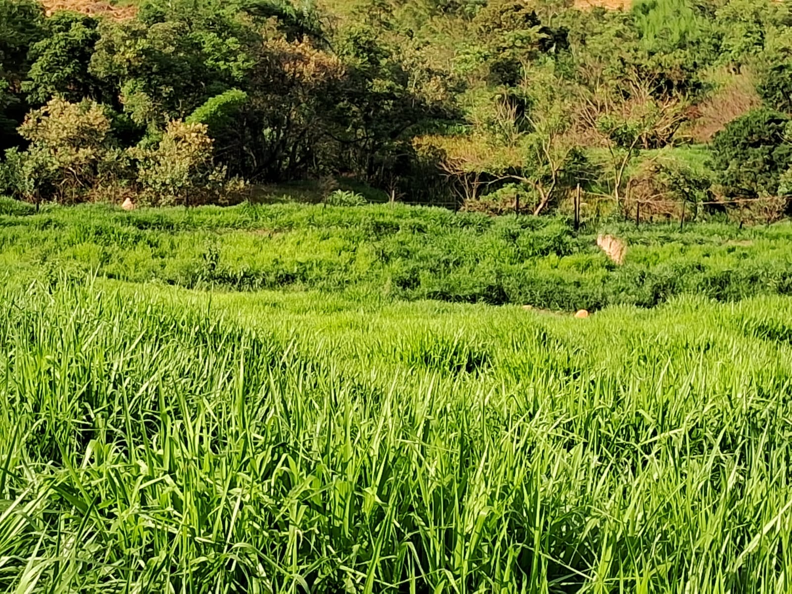 99808a3e-60b1-4c34-a39e-cd42207f0ce6