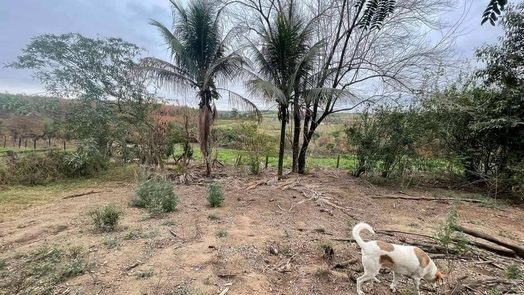 aab17211-6379-4366-8943-7a788a2fce52