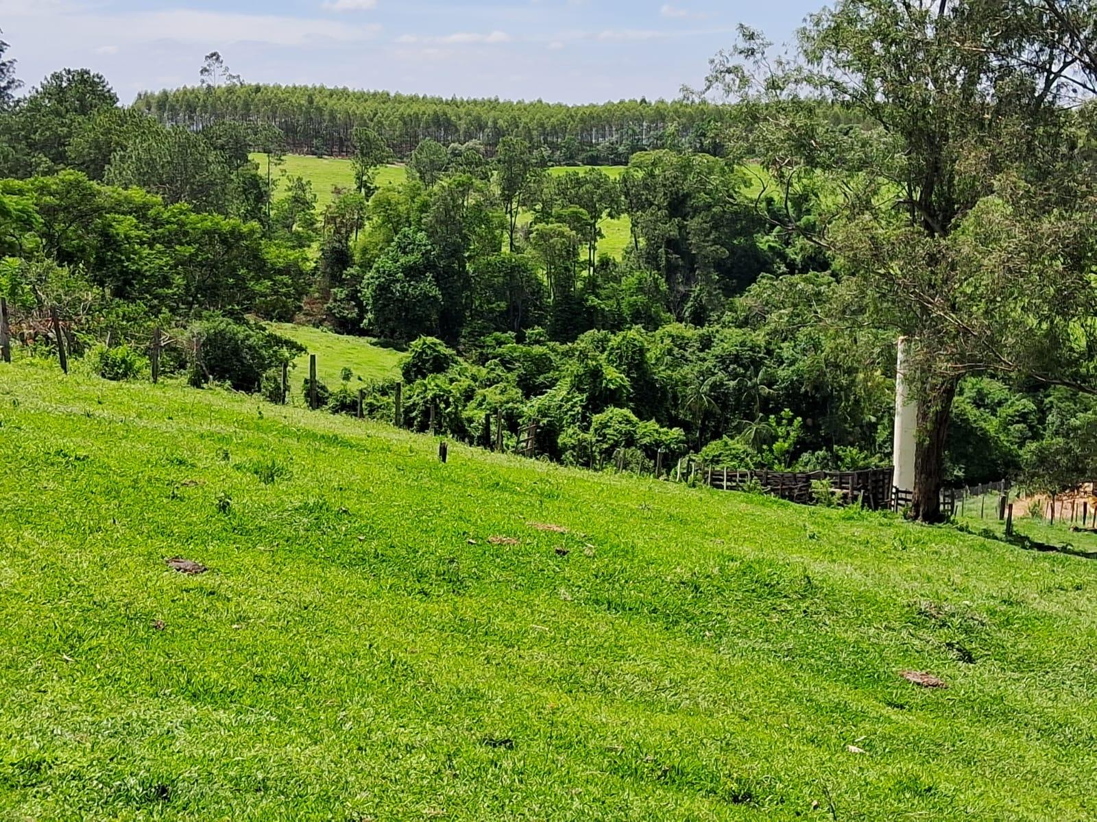 bdfd05ab-2ee5-4e35-a483-a8b0ae1ecd21