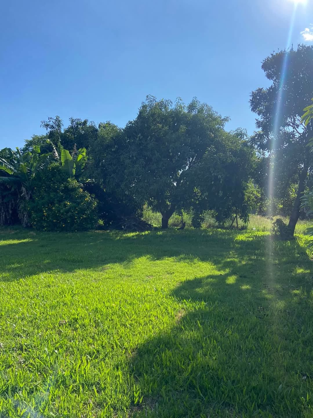 c65014cf-3575-4c89-ac32-c3bc2d8dcf4f