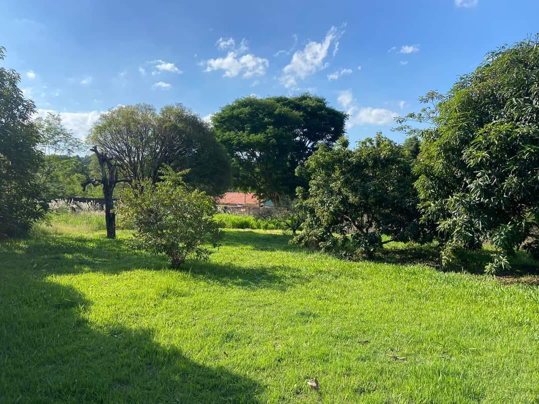 c6a6b3bd-ca38-4dea-942a-3f7dca895123