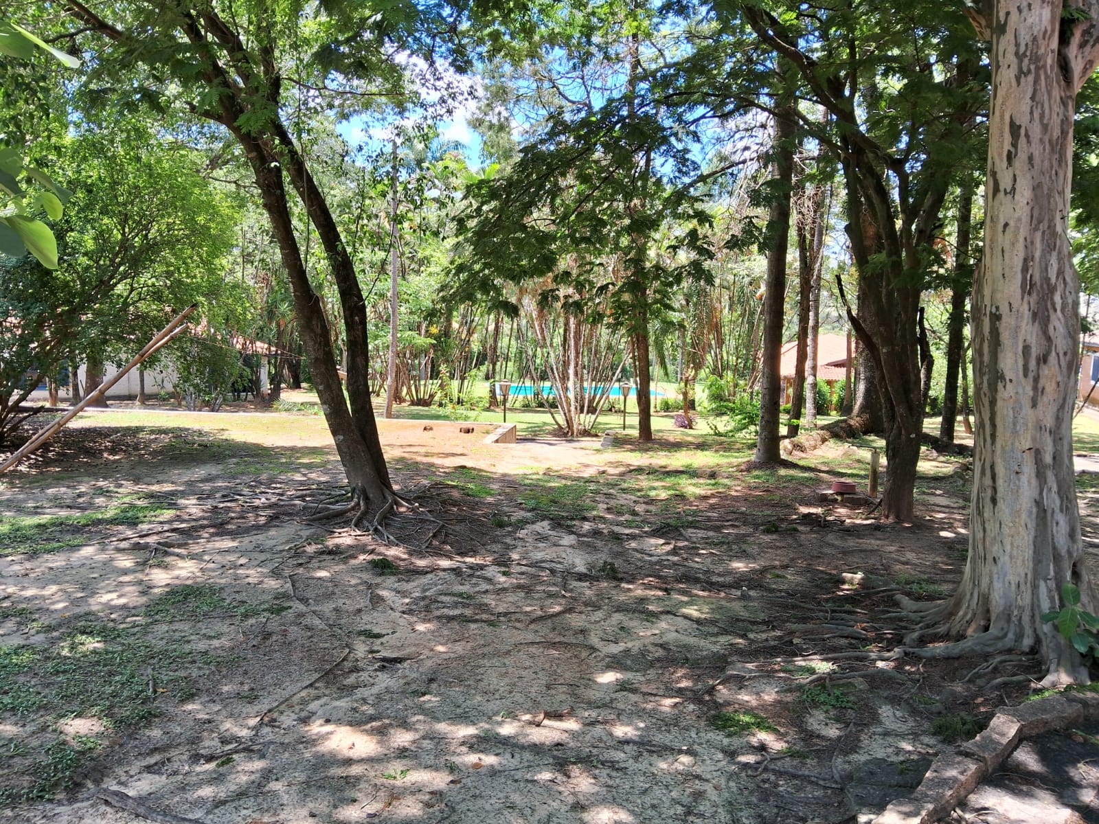 d9b2d265-fd62-481c-980f-fcc01e0d231c