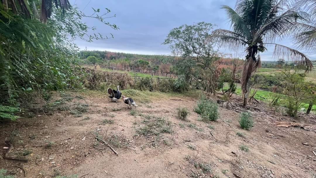 edd0747d-05d4-4995-ace1-74eb78bc0f63